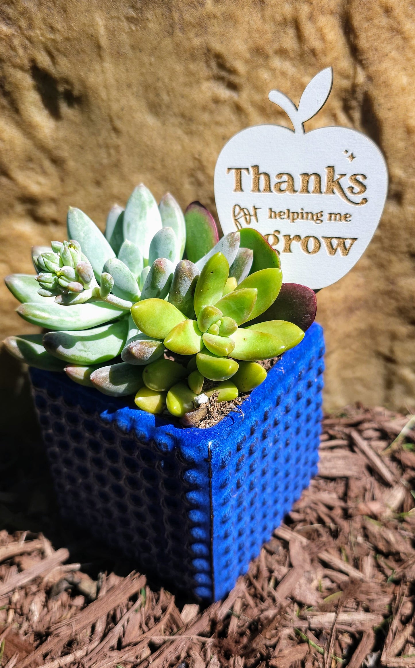 Thank You For Helping Me Grow Plant Pick