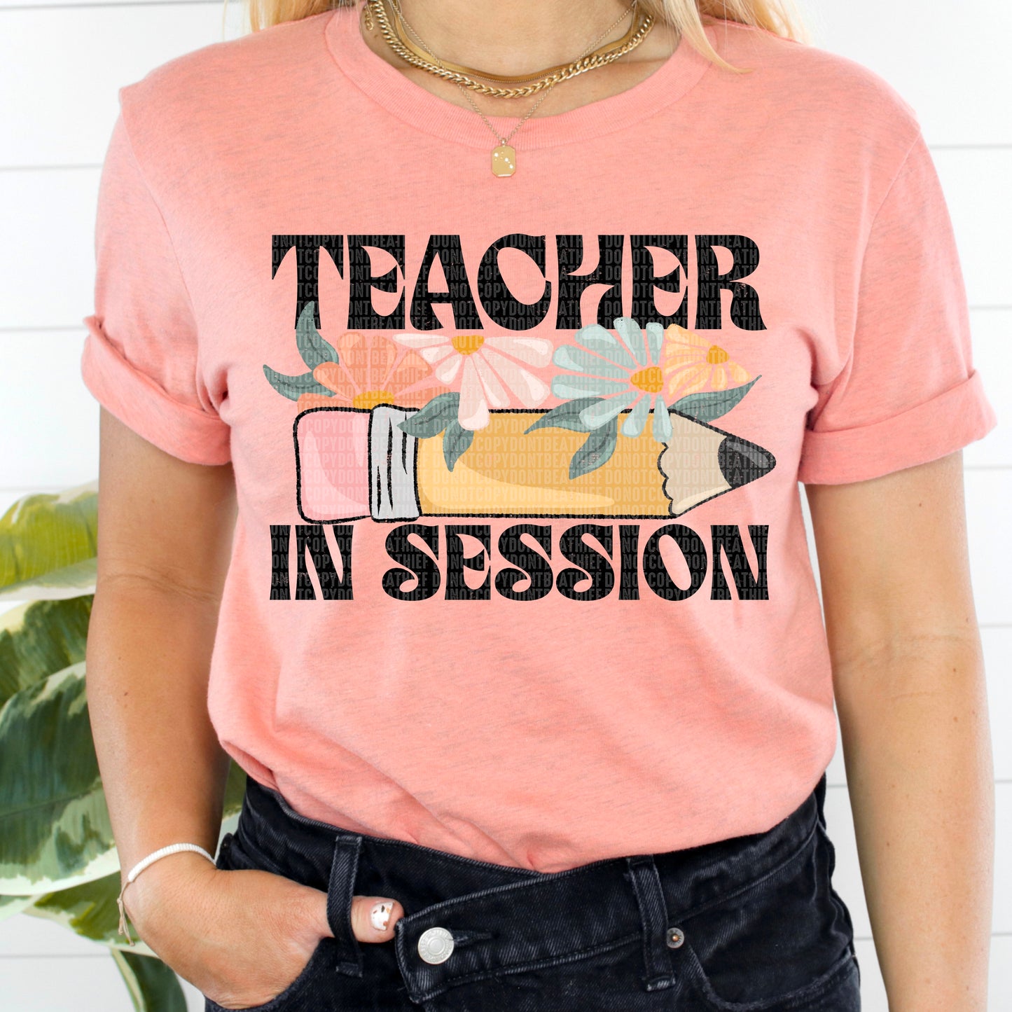 Teacher In Session - Direct To Film Transfer